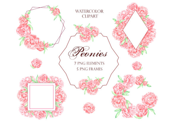 Download Peonies Watercolor Frame Bundle - Bundle Collection